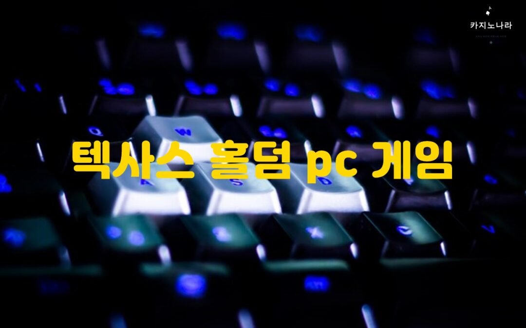 텍사스 홀덤 PC 게임 소개 및 전략 가이드