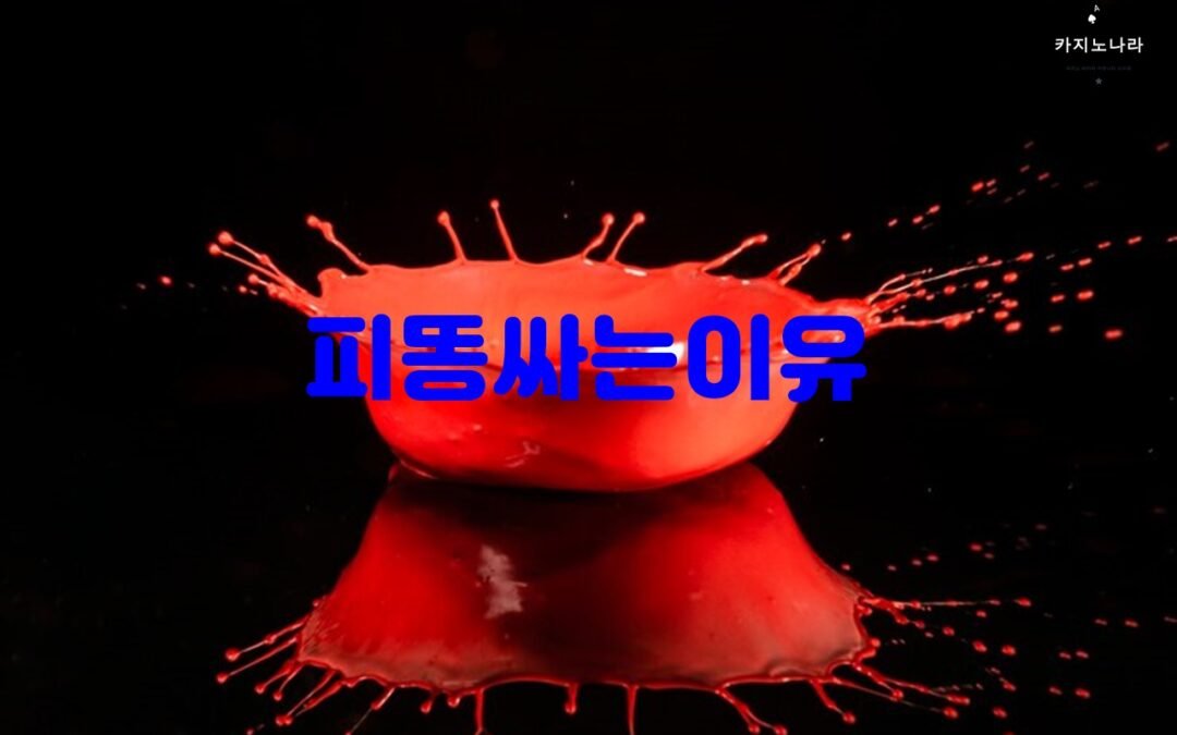 피똥을 싸는 원인과 대처법