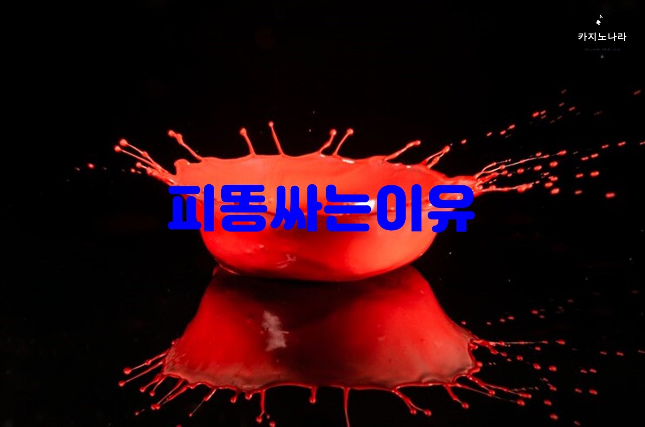 피똥싸는이유