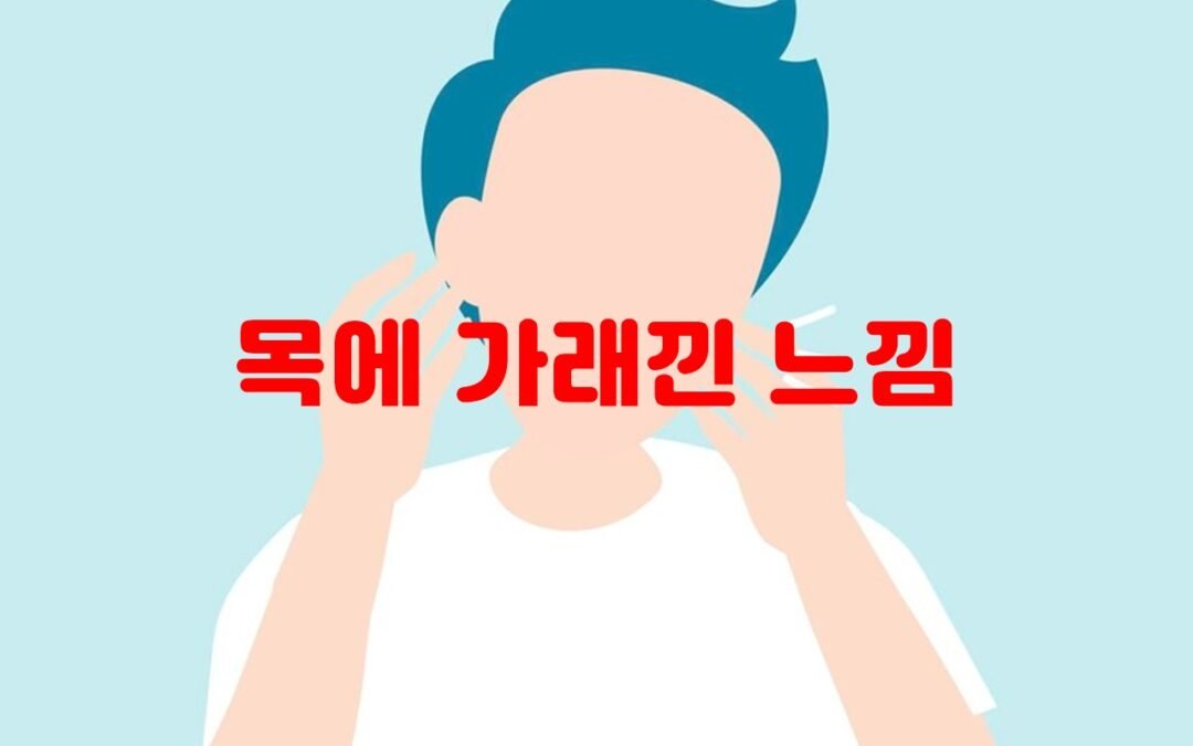 혈관 건강을 유지하기 위한 과일 섭취의 중요성