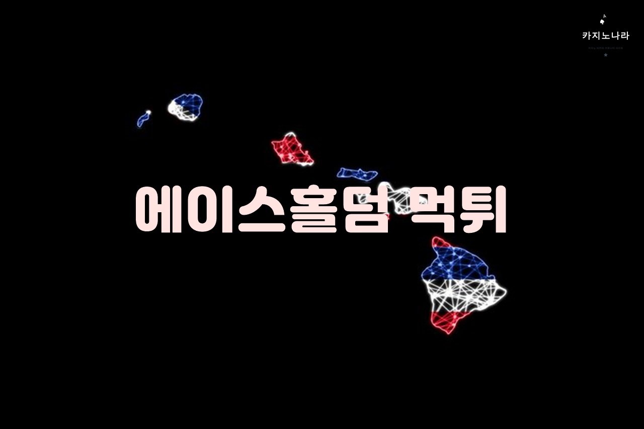 에이스홀덤 먹튀