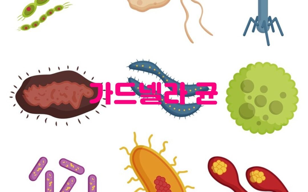 가드넬라 균에 대한 증상과 치료 방법 안내