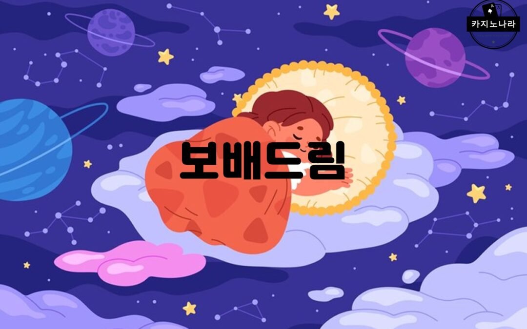 보배드림의 다양한 차량 카테고리 소개