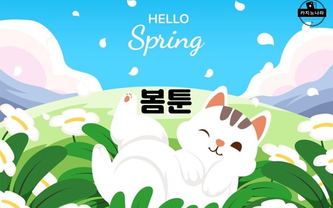 봄툰: 다양한 장르의 웹툰으로 즐거운 시간을 선사하는 플랫폼