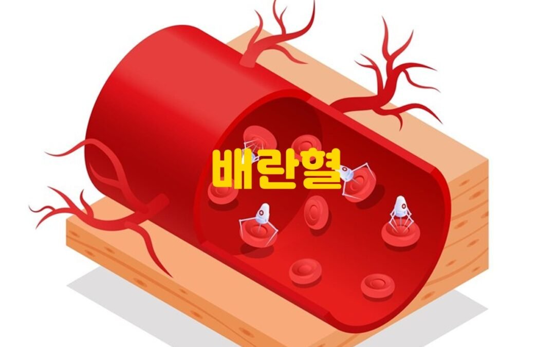 배란혈과 생리혈의 차이점에 대해 알아보자